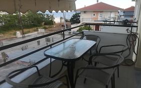 Fofi'S House